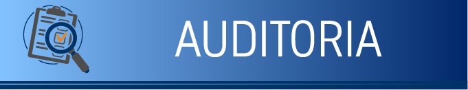 Leia mais sobre o artigo Ações de fortalecimento dos órgãos de auditoria