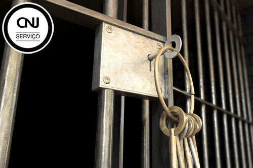 Você está visualizando atualmente Entenda as diferenças entre detenção, reclusão e internação
