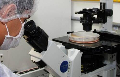 Read more about the article Verba pecuniária auxiliará pesquisa para tratamento de câncer