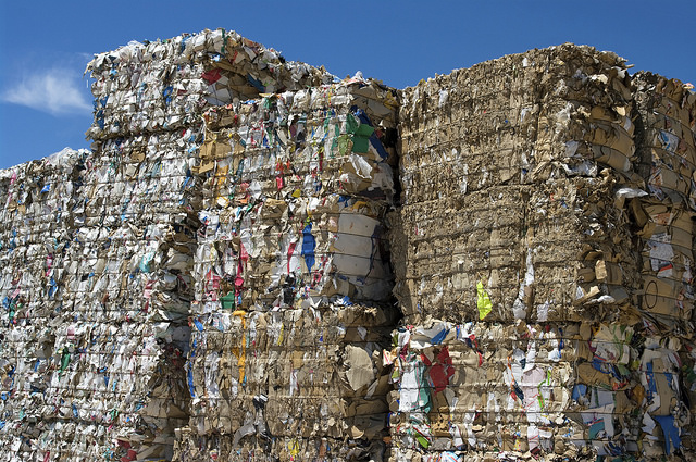 Reciclagem de papel. Foto: Divulgação