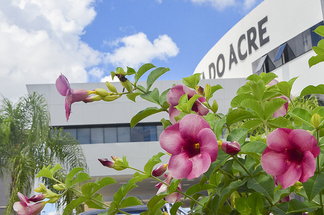 Você está visualizando atualmente Tribunal de Justiça do Acre planta mudas de ipê em projeto ambiental