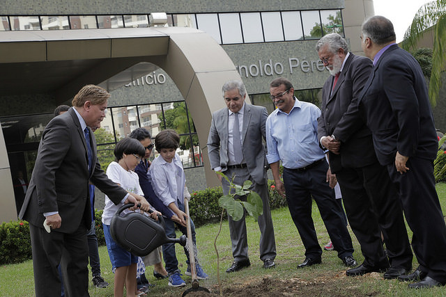 Conciliação em saúdeLegenda: Projeto planta uma árvore a cada nascimento no AmazonasCrédito: Igor Braga/TJAM