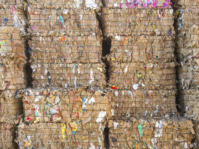 Read more about the article Justiça Federal no Amazonas doa 2 toneladas de papel para reciclagem