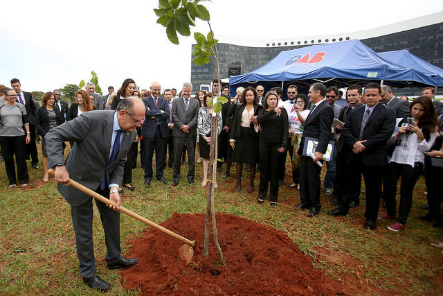 Você está visualizando atualmente Bosque dos Tribunais, no DF, ganha 700 mudas de árvores