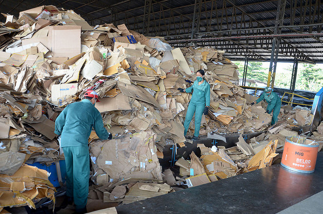 Mais de 14 mil processos fu00edsicos de Varas da Du00edvida Ativa seru00e3o reciclados. FOTO:TJAM