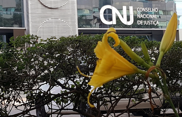 Você está visualizando atualmente Portaria determina suspensão dos prazos no CNJ durante o Carnaval