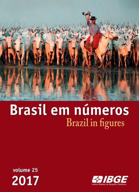 Brasil em Números 2017