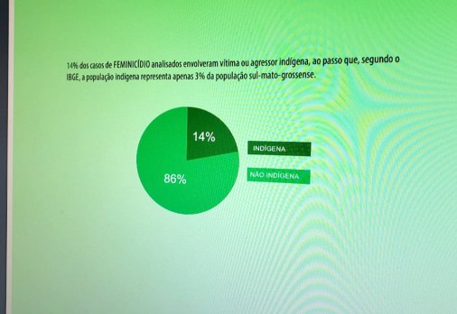 Você está visualizando atualmente Artigo: Violência doméstica e feminicídio contra a mulher indígena