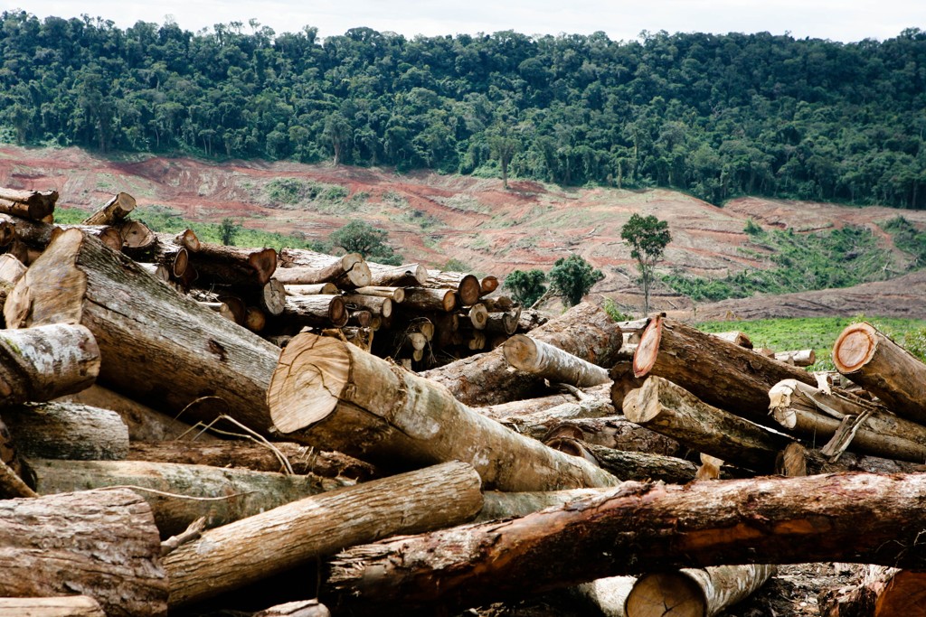 Você está visualizando atualmente Fundo Amazônia: desmatamento não está associado ao aumento de produtividade
