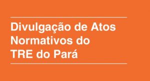 Read more about the article Justiça Eleitoral do Pará padroniza divulgação de atos normativos na internet