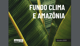 Você está visualizando atualmente Publicação reúne conteúdo sobre Fundo Amazônia e temas relacionados