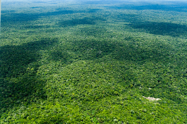 Você está visualizando atualmente Proteção da Amazônia: CNJ promove nesta terça evento internacional com a União Europeia