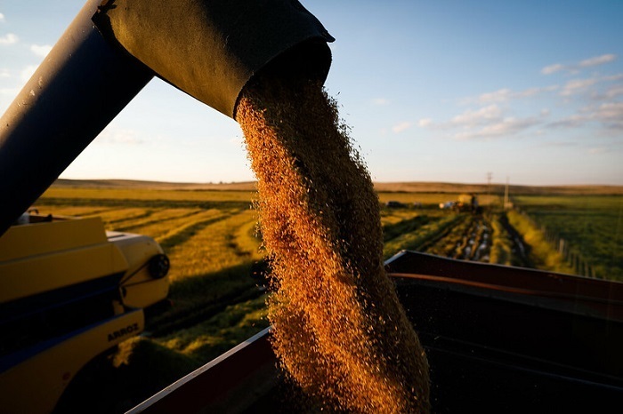 Você está visualizando atualmente Colóquio Jurídico Brasil-OEA: segurança jurídica é fundamental para agronegócio