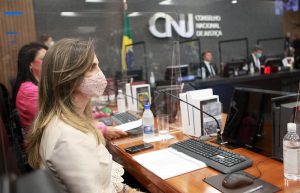 Read more about the article Plenário recomenda uso de dados de satélite na instrução de ações ambientais
