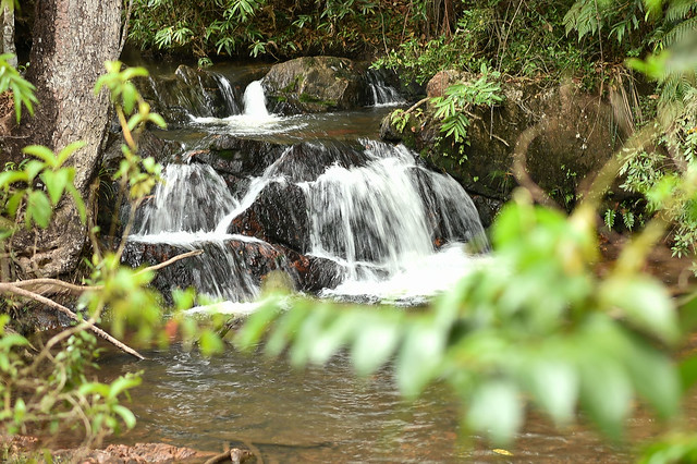 Você está visualizando atualmente Com ações inéditas, CNJ aprimora tutela do meio ambiente