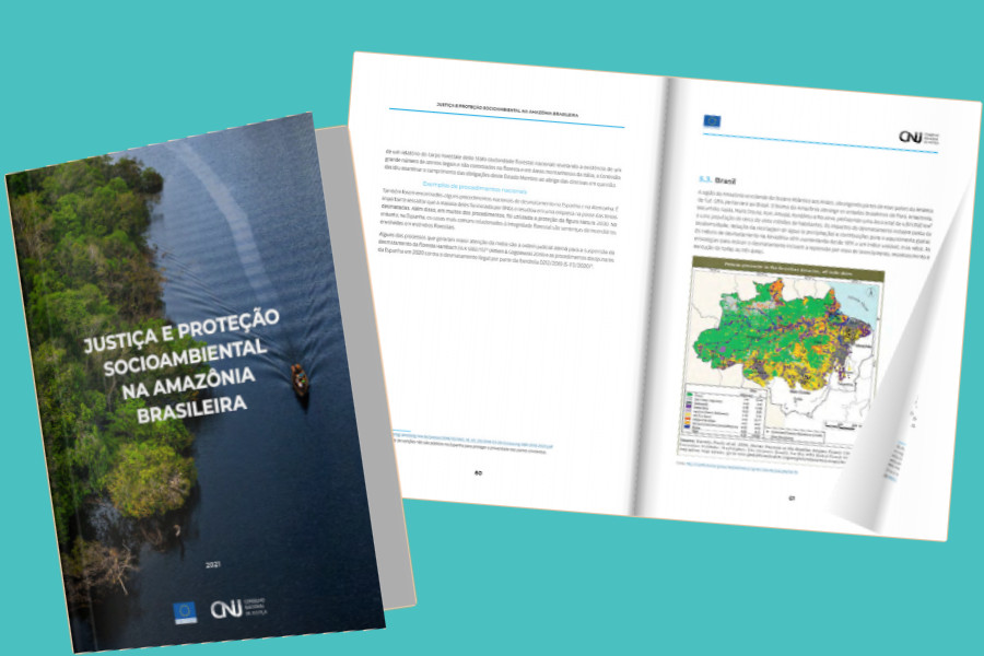 Você está visualizando atualmente Judiciário teve mais de 88 mil processos ambientais na Amazônia Legal em 15 anos