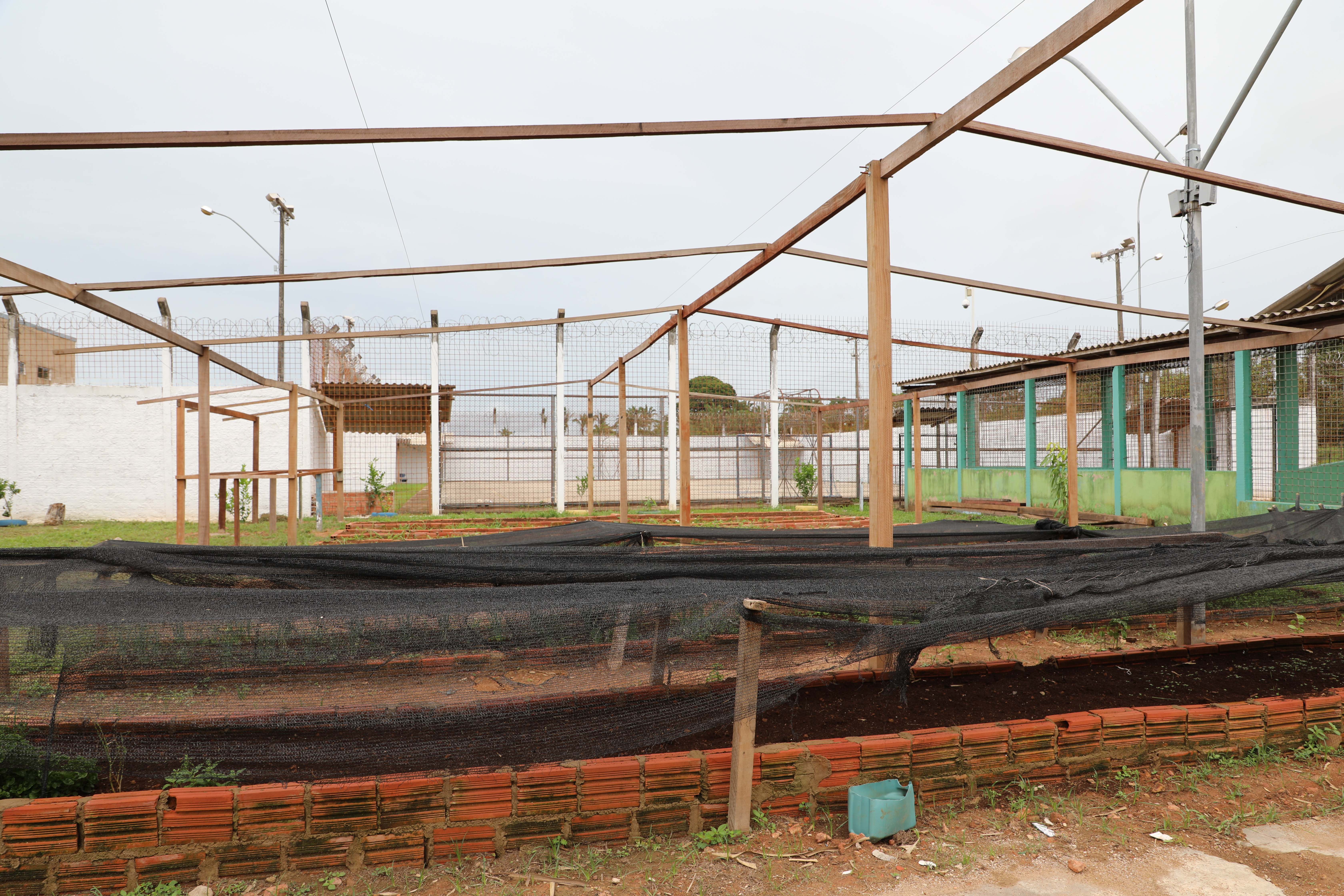 Você está visualizando atualmente Projeto de Horticultura e Ressocialização é financiado com penas pecuniárias