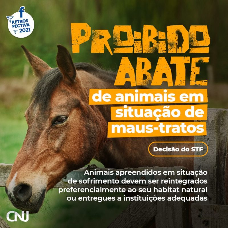 Foto de cavalo com olhar abatido apoiando a cabeça em uma porteira. Texto: Proibido abate de animais em situação de maus-tratos. Animais apreendidos em situação de sofrimento devem ser reintegrados preferencialmente ao seu habitat natural ou entregues a instituições adequadas. Decisão do STF. Retrospectiva 2021.