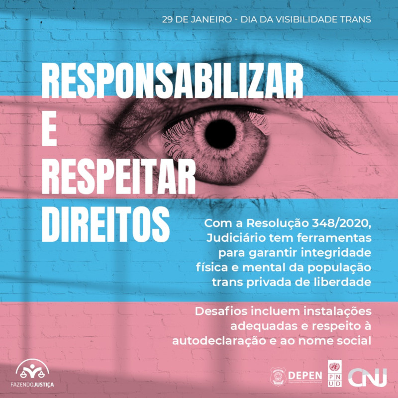 Ao fundo, textura de parede com as cores da bandeira símbolo trans, azul e rosa, e as letras do texto brancas. Um olho grande no centro da arte. Texto: Responsabilizar e respeitar direitos. Com a Resolução 348/2020, Judiciário tem ferramentas para garantir integridade física e mental da população trans privada de liberdade. Desafios incluem instalações adequadas e respeito à autodeclaração e ao nome social. 29 de janeiro - Dia da Visibilidade Trans.
