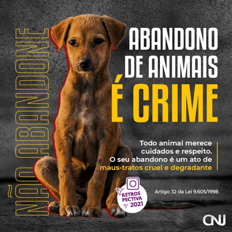 Imagem de um cachorro abandonado na rua. Texto: Abandono de animais é CRIME. Todo animal merece cuidados e respeito. O seu abandono é um ato de maus-tratos cruel e degradante. Não abandone. Artigo 32 da Lei 9.605/1998. Retrospectiva 2021.