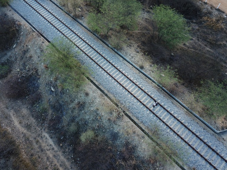 Foto de trilhos em estrada ferroviária.