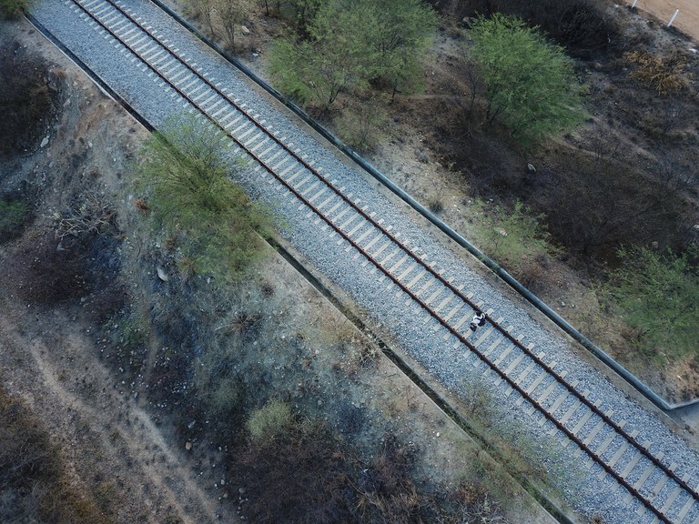 Foto de trilhos em estrada ferroviária.