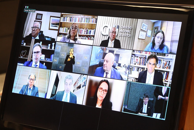 Foto da tela com participantes da Sessão por videoconferência.