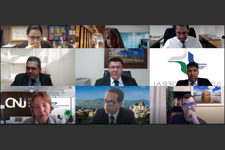 Foto mostra momento da reunião por videoconferência.