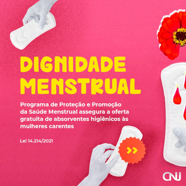 Imagem de recorte de mão segurando um absorvente íntimo. Foto de flor vermelha com pétalas caindo como gotas de sangue. Texto: Dignidade menstrual. Programa de Proteção e Promoção da Saúde Menstrual assegura a oferta gratuita de absorventes higiênicos às mulheres carentes. Lei 14.214/2021.