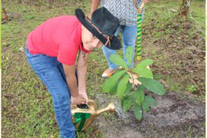 Foto mostra um menino regando uma muda de planta.