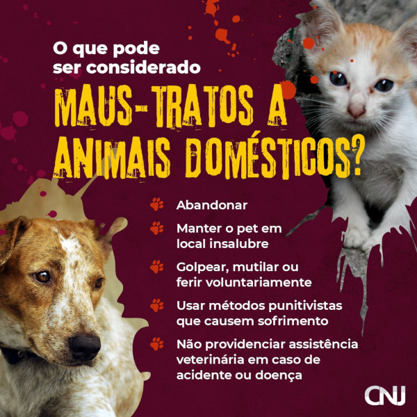 Fotos de um cachorro e um gato em destaque. Texto: Ο que pode ser considerado maus tratos a animais domésticos? Abandonar. Manter o pet em local insalubre. Golpear, mutilar ou ferir voluntariamente. Usar métodos punitivistas que causem sofrimento. Não providenciar assistência veterinária em caso de acidente ou doença.