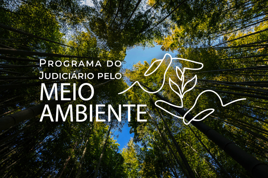 Você está visualizando atualmente Programa do CNJ fortalece cultura de proteção ao meio ambiente