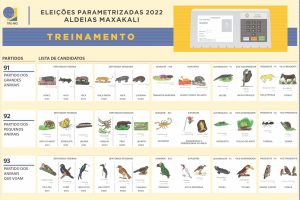 Read more about the article Ação em MG promove participação de povos indígenas nas Eleições 2022