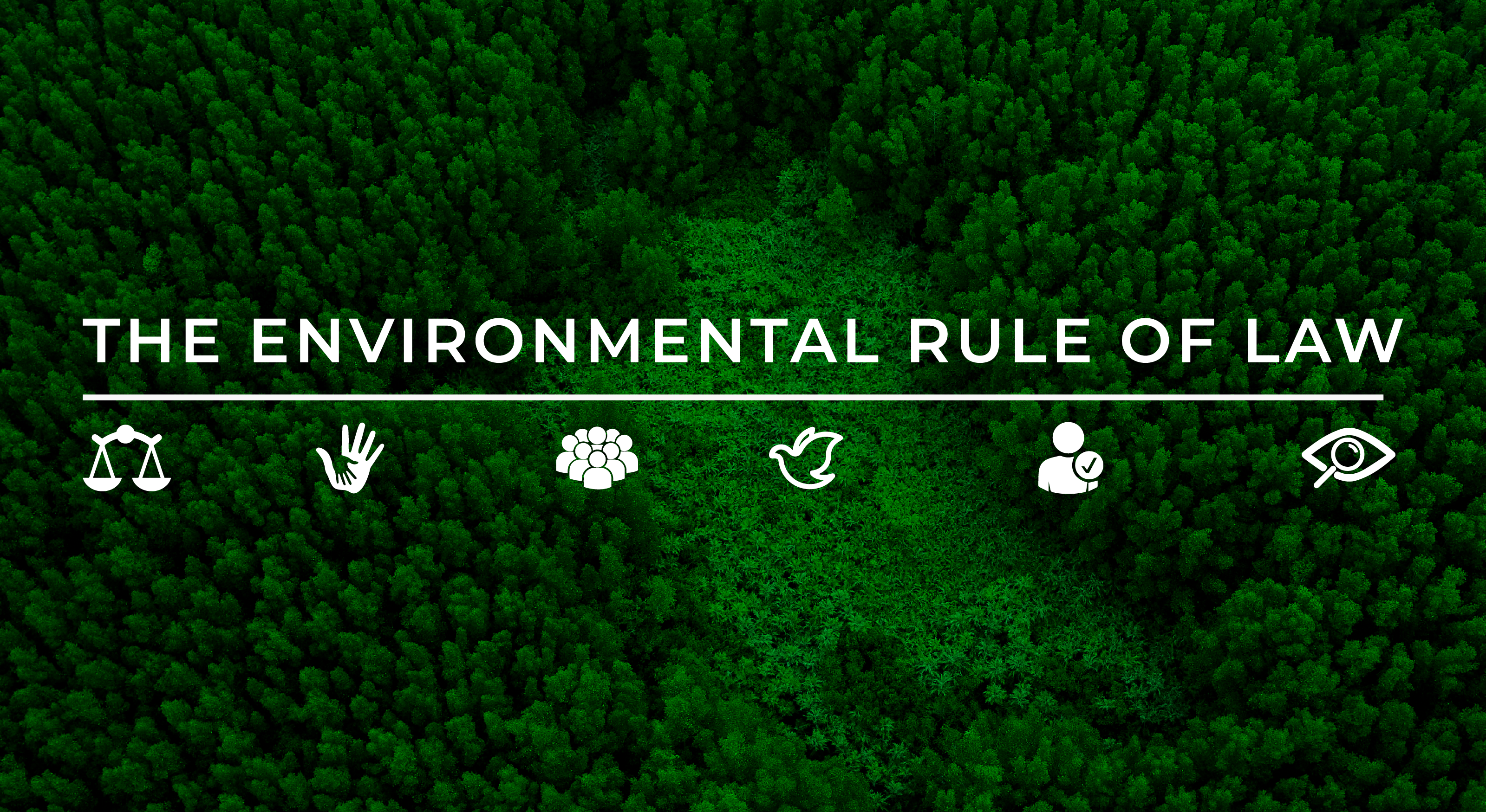 Você está visualizando atualmente The Environmental Rule of Law
