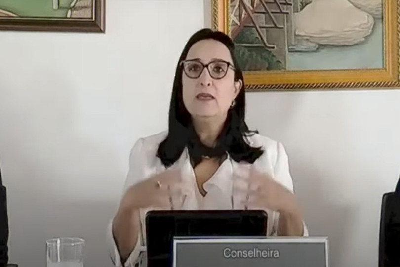 Foto por videoconferência mostra a conselheira falando durante o evento.