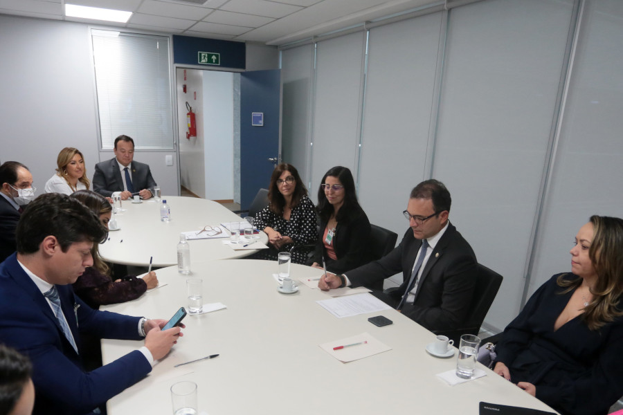 Foto mostra as pessoas sentadas em volta de uma mesa comprida em uma sala no CNJ.