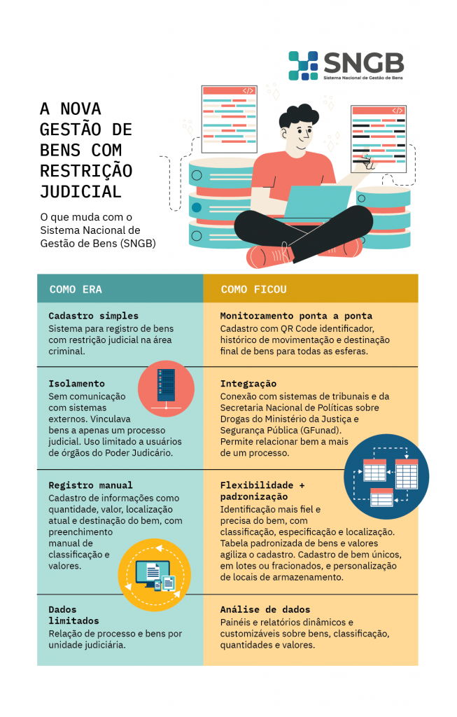 infográfico sobre o sistema nacional de gestão de bens