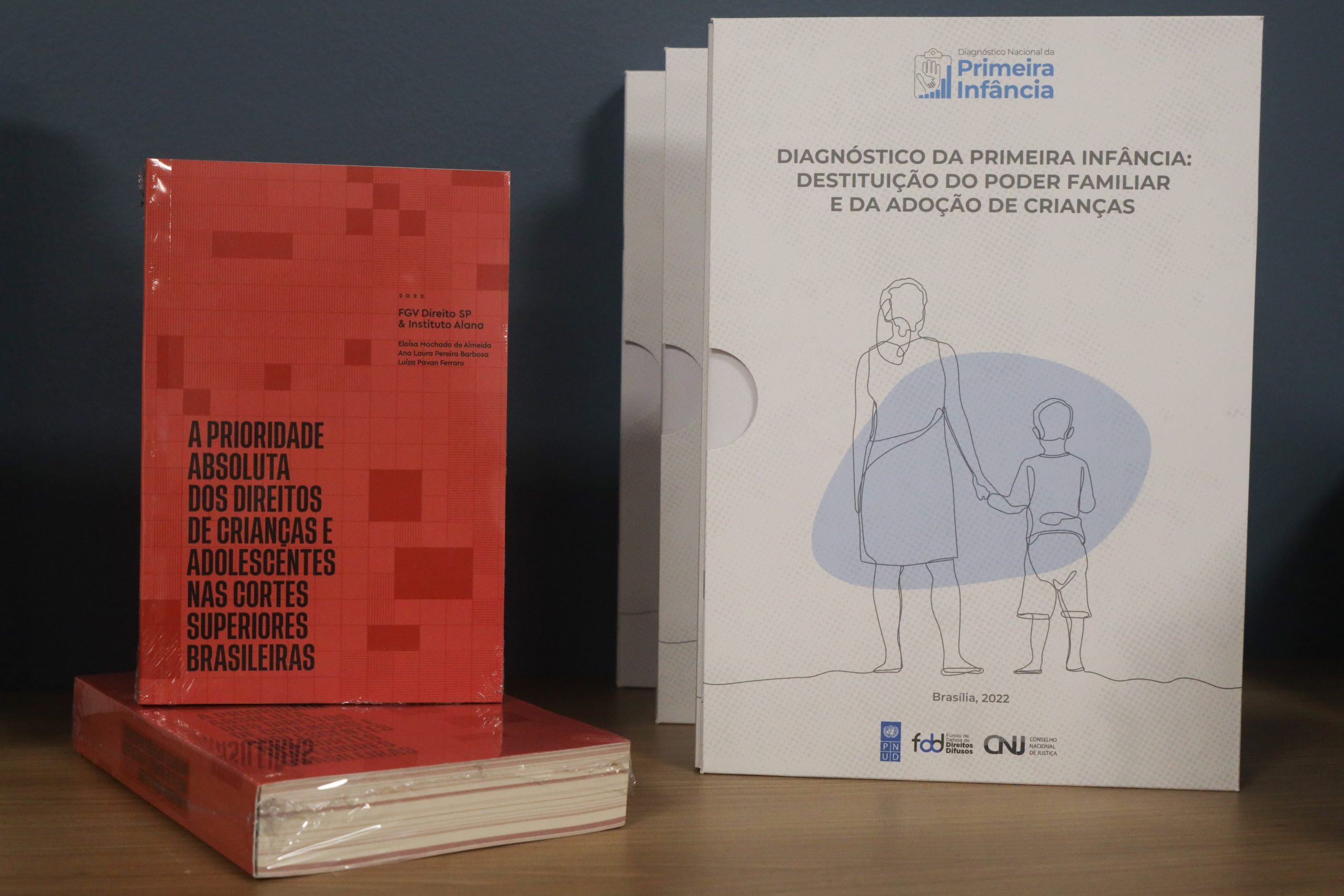 Você está visualizando atualmente Livro aponta avanços e desafios das cortes superiores ao julgar sobre infância e juventude