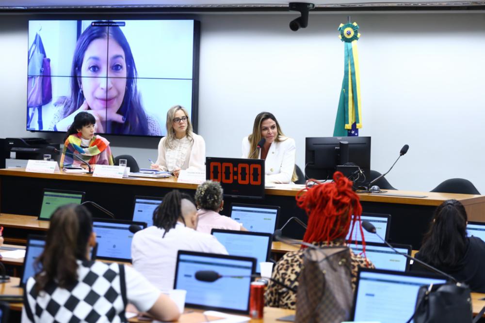 Você está visualizando atualmente Audiência pública: Desvalorização do feminino deve ser enfrentada no combate ao feminicídio