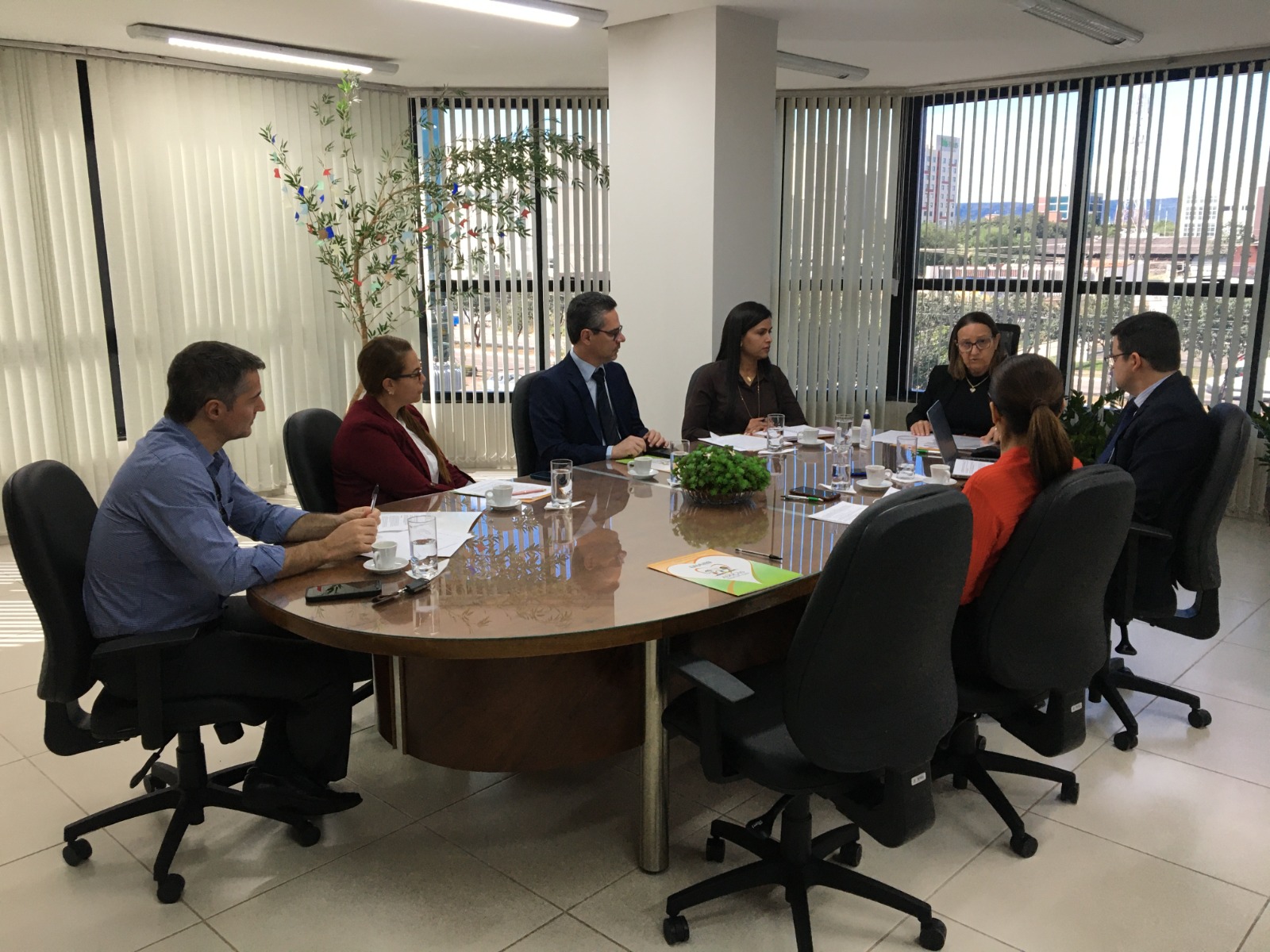 Você está visualizando atualmente Comissão Judiciária do Tocantins realiza 1ª habilitação para adoção internacional