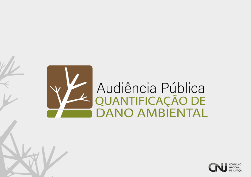 Você está visualizando atualmente Audiência Pública Quantificação de Dano Ambiental