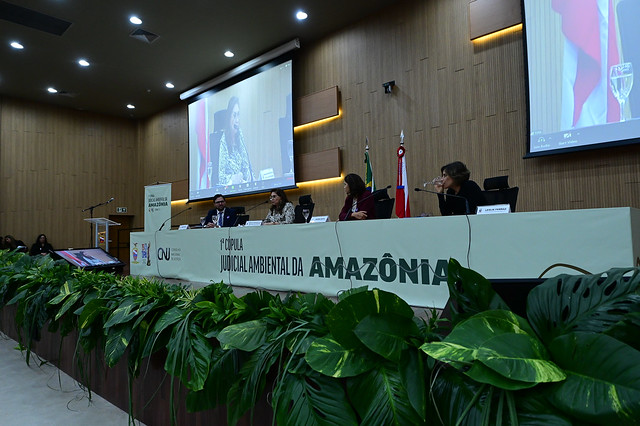 Você está visualizando atualmente Cooperação interinstitucional é destacada como essencial para combater desmatamento na Amazônia Legal