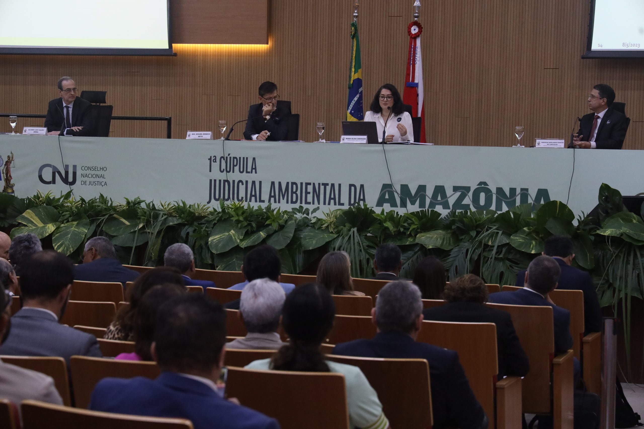 Você está visualizando atualmente Especialistas debatem avanços e desafios da litigância ambiental e climática