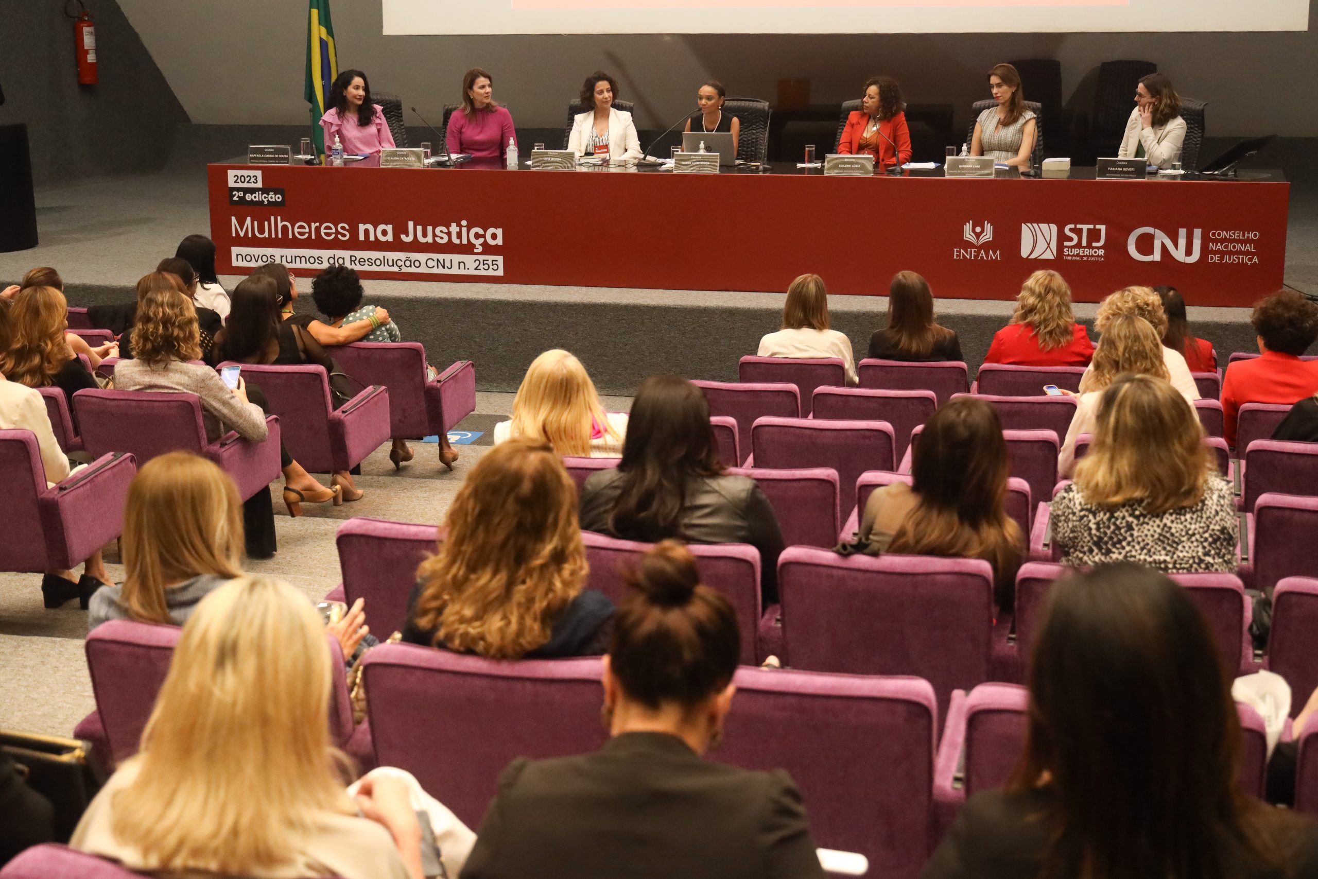 Você está visualizando atualmente Maior presença de mulheres no Judiciário contribui para ampliar decisões sob a ótica feminina