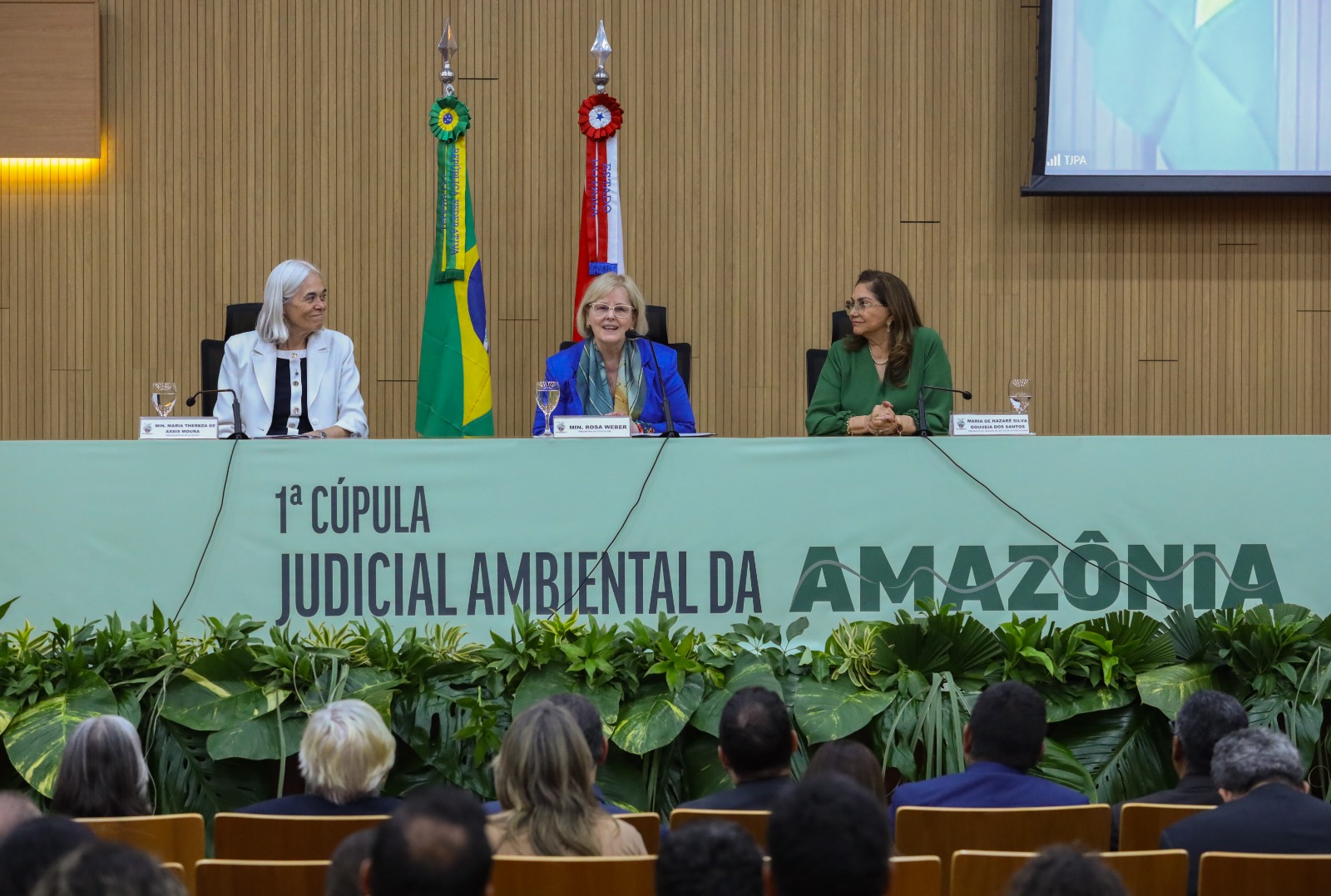 Você está visualizando atualmente “As nossas matas clamam por proteção”, afirma presidente do STF e do CNJ