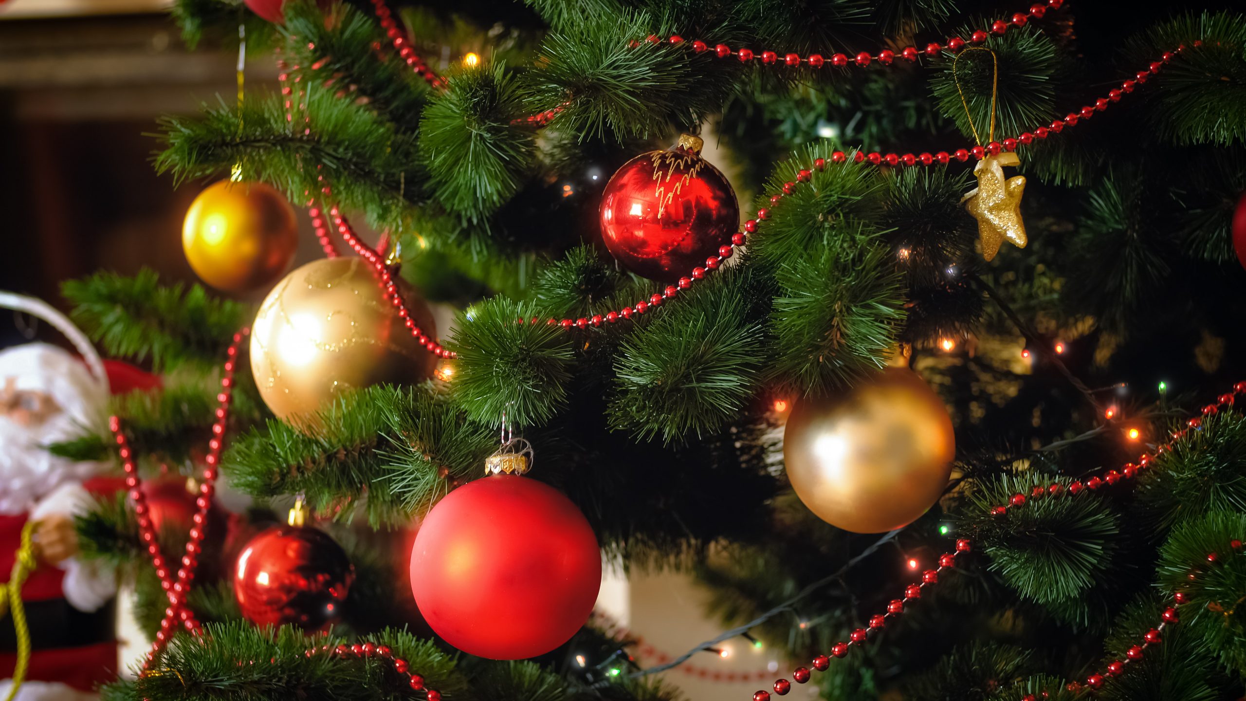 Você está visualizando atualmente Infância: Justiça de Pernambuco lança campanha “Acolhimento Solidário no Natal”