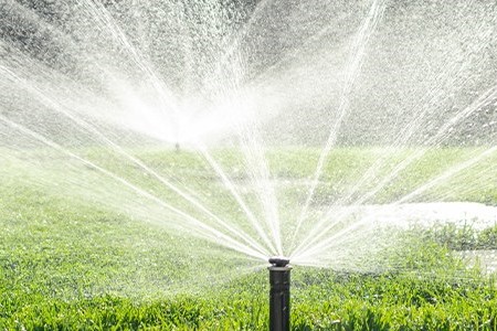 Você está visualizando atualmente Justiça Eleitoral do Acre usa água da chuva para preservar o meio ambiente