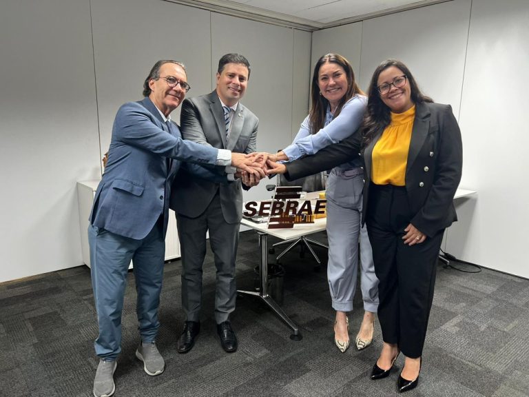 Você está visualizando atualmente Parceria entre a Justiça do Piauí e Sebrae fortalece o Programa Regularizar