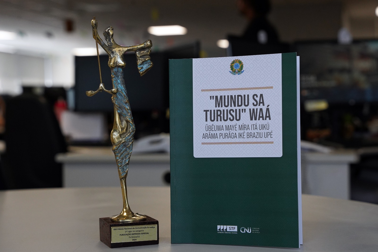 Você está visualizando atualmente CNJ recebe prêmio por traduzir Constituição para língua indígena