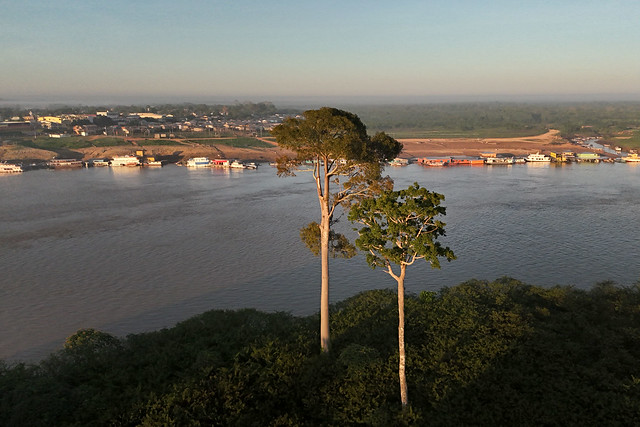 Você está visualizando atualmente Justiça Federal da 1ª Região conclui etapa do programa de priorização da jurisdição ambiental